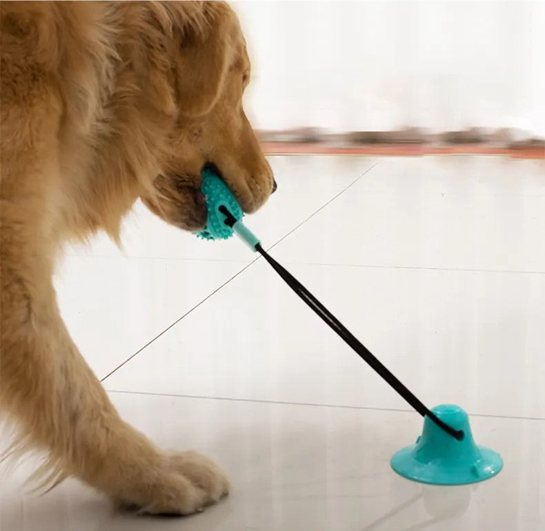 Interactive Chew Toy for Dogs